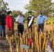 Kenya: Bamboo Planting Improving Resilience against Floods